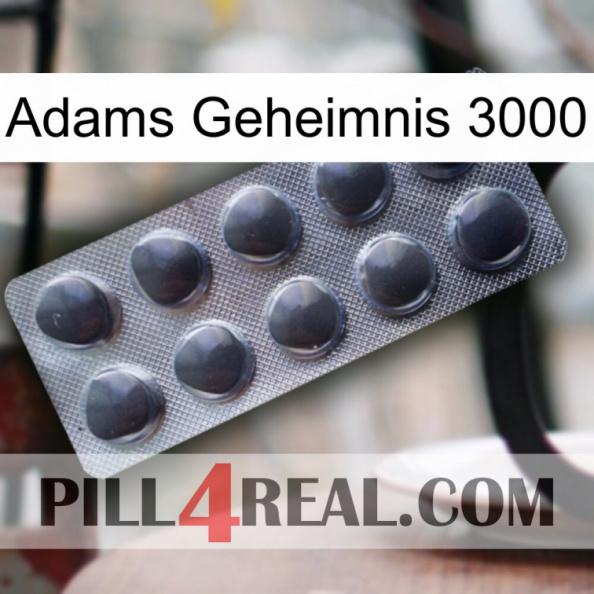 Adams Secret 3000 30.jpg